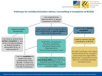 BCDSS Complaints Diagram Mar 2024.jpg